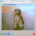 software:internet:skype:skype_-_screenshot_5.png software:internet:skype:skype_-_screenshot_5.png